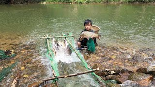 Fish trapping technique an orphan boy khai blocks streams to make fish traps to sell [upl. by Link]