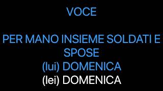 Gianna Nannini ft Francesco De Gregori Diamante  Karaoke [upl. by Odin]