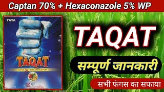 Tata Taqat fungicide । Captin 70hexaconazole 5 । Taqat fungicide price dose work result । tata [upl. by Orms294]