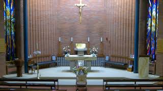 Thursday 1st August Mass at 700pm  17th week Year B St Alphonsus Ligouri memorial [upl. by Chuu]