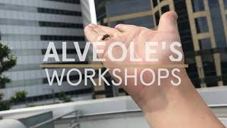 Alvéoles Remote Workshops [upl. by Kaiulani411]