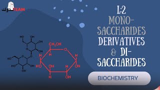 L2 biochemistry carbohydrates Disaccharides [upl. by Cullan]