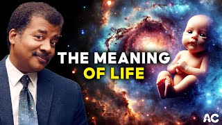 Neil deGrasse Tyson  THE MEANING OF LIFE [upl. by Jerald]