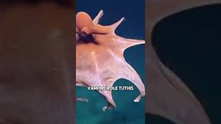 Unveiling the Vampire Squid Terrifying Facts About the Deep Seas Darkest Creature [upl. by Clovah]