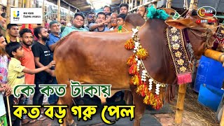 কার গরুর দাম কত কেমন হয়েছে জানতে ভিডিওটি দেখুন গাবতলী গরুর হাট ২০২৪ [upl. by Goodden618]