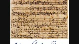 Bach  Concerto No 1 in A Minor BWV 1041 For Violin Strings and Basso Continuo  Part 1 [upl. by Brezin]