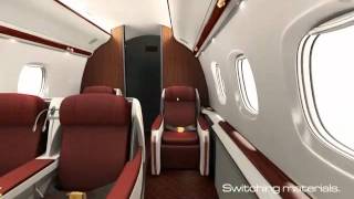 Meconopsis realtime software for aircraft interiors [upl. by Grimaldi]