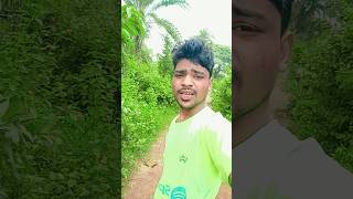 Chiniya badam nagpuri shortvideos viralshort [upl. by Lippold]