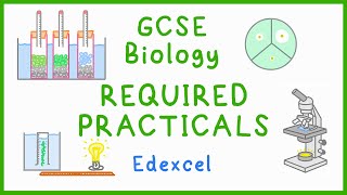 All BIOLOGY Required Practicals  GCSE Science Edexcel [upl. by Suvart]