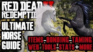 HORSES THE ULTIMATE COMPREHENSIVE GUIDE IN RED DEAD REDEMPTION 2 [upl. by Aimak]