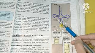 Wobble HypothesisProtein synthesis Part 3BiochemistryLippincott [upl. by Blakeley845]