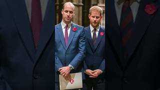 Prince William set to be furous after Harrys privte email to him emerges [upl. by Rodmur]