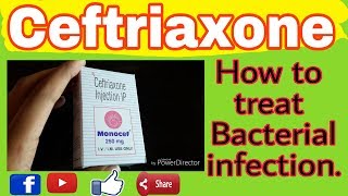 Monocef 1gm injectionCeftriaxone mechanism of actionEp1416112018use of monocef injection [upl. by Earej126]