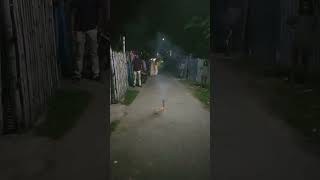 Beautuful Skyshot 💥  Happy Diwali 💫 diwalispecial fireworks diwalifestival diwali shorts [upl. by Colt]