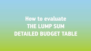 How to evaluate lump sum proposals Detailed budget table [upl. by Sremmus]