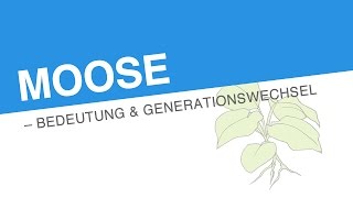 MOOSE – BEDEUTUNG GENERATIONSWECHSEL  Biologie [upl. by Isnan175]