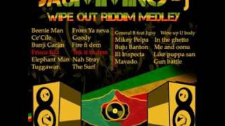 Wipe Out Riddim Medley part 1 JauMMinG dj [upl. by Arahs]