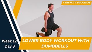 40Minute Lower Body Strength Workout with Dumbbells  Week 12 Day 3  Home Weight Training Routine [upl. by Jobey]