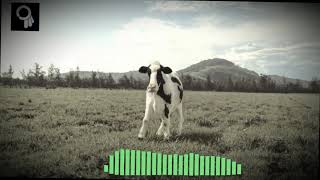 Dancing Polish Cow 9Doors remix [upl. by Jamin]