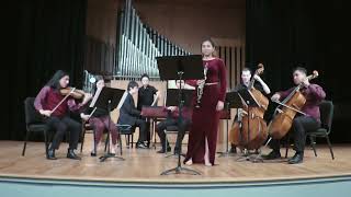 Albinoni Oboe Concerto in G minor  1st Mvt [upl. by Malik799]