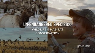 UNENDANGERED SPECIES® Wildlife amp Habitat Conservation  NSSForg [upl. by Mastic]