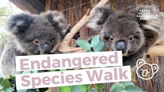 Gumbuya World Endangered Species Walk [upl. by Haldis745]