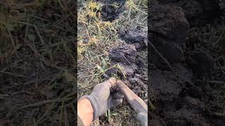 Metal detecting adventure metaldetecting adventure treasure treasurehunt foryou viralvideo [upl. by Trillbee]