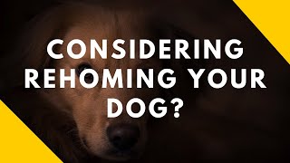 Considering Rehoming Your Dog [upl. by Steffane]