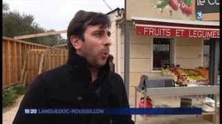 Boucherie en ligne le gout du boeuf reportage france 3 [upl. by Groh]