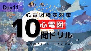 【心電図検定対策12級】ドリル 10問 Day11 ひたすら問題演習 [upl. by Basia]