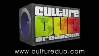 Teaser Télérama Dub Festival 2010  Vidéo Culture Dub [upl. by Kenay227]