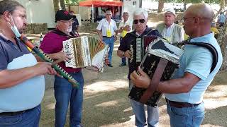 Feira do Alvarinho Monção  2022 [upl. by Hibben]