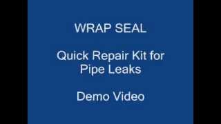 Wrap Seal demo video [upl. by Imis]