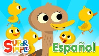 Cinco Patitos  Canciones Infantiles  Super Simple Español [upl. by Annahsit]