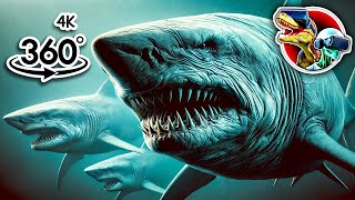 360 Sharks Size Comparison  360 Video 4k [upl. by Snebur530]