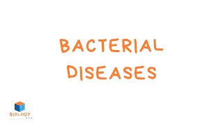 GCSE Biology  Infection amp Response  6 Bacterial Diseases [upl. by Robin]