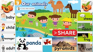 Connect plus for kg1 Unit 3 🐴🐸🐪🐱🐠Teachers guide amp audio book حل ونصوص إستماع ودليل المعلم كونكت بلس [upl. by Tiedeman]