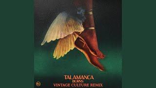 Talamanca Vintage Culture Remix [upl. by Alaunnoif]