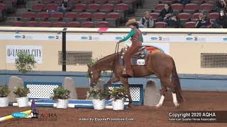 2020 AQHA Amateur Trail [upl. by Durwyn]