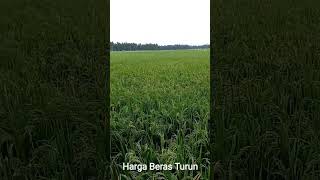 Harga Beras Turun [upl. by Barb]