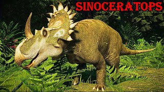 sinoceratops [upl. by Illac]