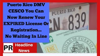 Puerto Rico DMV CESCO How Can You Renew Your EXPIRED License AndOr Marbete [upl. by Afrika]