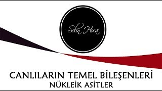 ARŞİV 8 Canlıların Temel BileşenleriOrganik MaddelerNükleik Asitler 9 Sınıf Biyoloji TYT 8 [upl. by Laniger]