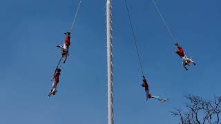 VOLADORES DE PAPANTLA ESPECTACULAR [upl. by Diamante701]