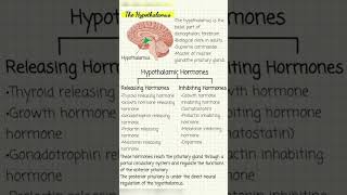 Hypothalamus anatomy and Hypothalamic Hormones [upl. by Falk]