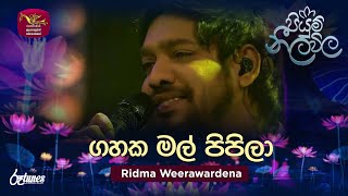 Gahaka Mal Pipila  ගහක මල් පිපිලා  Ridma Weerawardena  Piyum Neela Vila  Roo Tunes [upl. by Lisabet570]