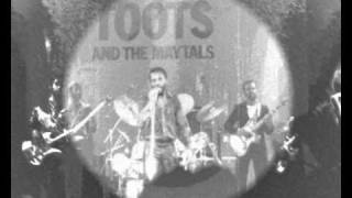 GET UP STAND UP  TOOTS AND THE MAYTALS  TORHOUT WERCHTER 1981 PART 3 [upl. by Tine800]