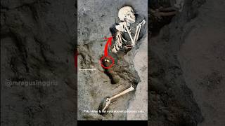 Penemuan Arkeologi Luar Biasa Di Pompeii Italia sejarah faktaunik misteri [upl. by Akirehs784]