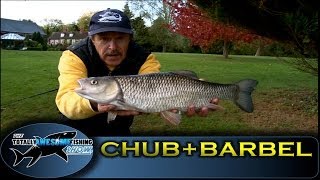 Barbel amp Chub fishing on River Kennet  Series 2  Episode 6 [upl. by Davida]