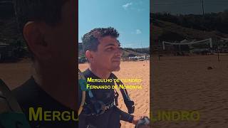 Mergulhar é maravilhoso Fizemos o mergulho com a Maravista mergulho noronha tubarão natureza [upl. by Bilicki]